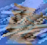 Kippy's - Restaurant Darwin