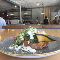 Supply Specialty Coffee  Bar