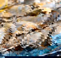 Atrium - Restaurant Darwin