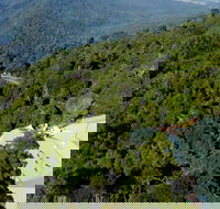 Canopy Cafe - Restaurant Darwin