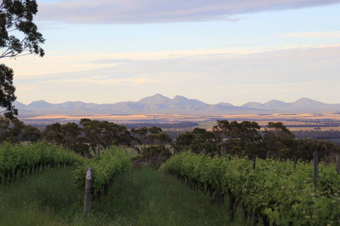 Castle Rock Estate Winery - Restaurant Darwin 0