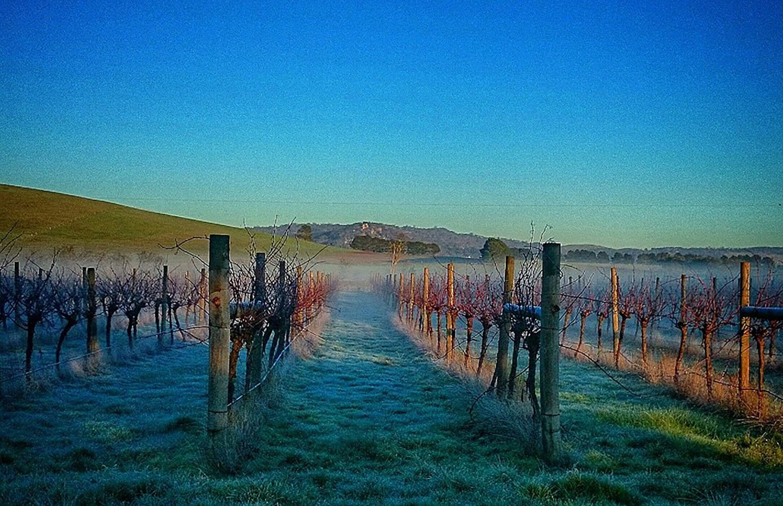 Kooroocheang VIC Restaurant Darwin