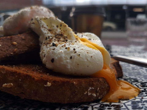 Sorrento - Restaurant Darwin 0