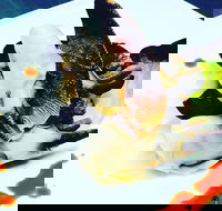 Dumpling Yum Cha Ballina - Restaurant Darwin