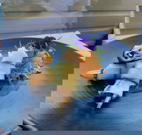 Echoes Restaurant - Restaurant Darwin