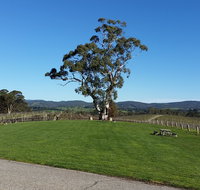 Nepenthe Wines - Restaurant Darwin