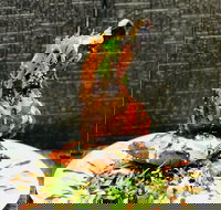 Pinch of Spice Melbourne - Restaurant Darwin