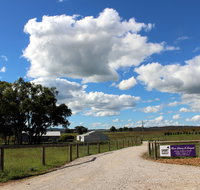 Short Sheep Micro-Winery - Restaurant Darwin