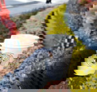 Thomas Holt Roasters - Restaurant Darwin