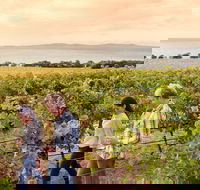 Boston Bay Wines - Restaurant Darwin