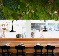 EXP. restaurant - Restaurant Darwin