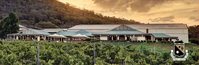 Mount Pleasant Wines