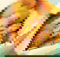 Mrs. Fields - Cockburn Gateway - Success - Restaurant Darwin