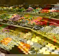 Nieo's - Restaurant Darwin