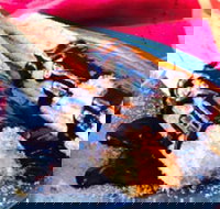 Donut King - Epping - Restaurant Darwin