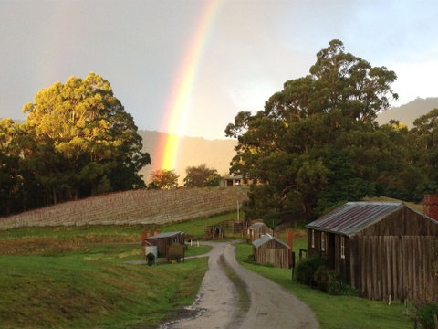 Hartzview Vineyard - Restaurant Darwin 0