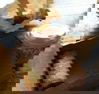 Kunara Organic Cafe - Restaurant Darwin