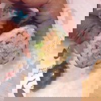 La Porchetta Colac - Colac