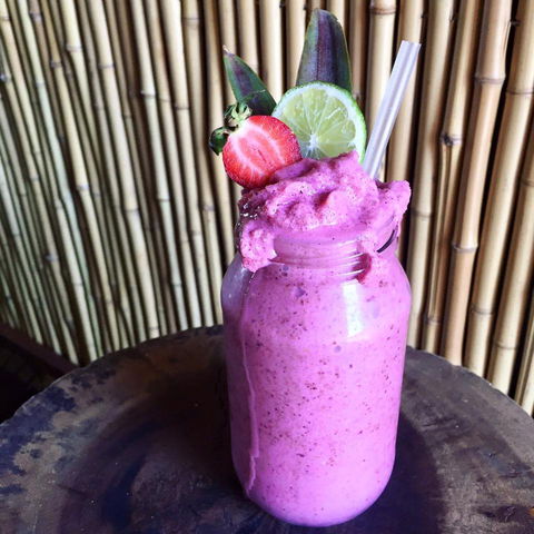 Jungle - Restaurant Darwin 0