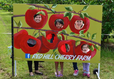 Red Hill Cherry Farm - Restaurant Darwin 1