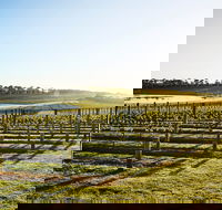 Wine Terrace and Cellar Door at Pt Leo Estate - Restaurant Darwin