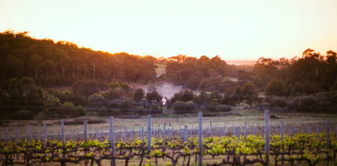 Howling Wolves Wines - Restaurant Darwin 0