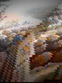 Pompadours Chocolate House