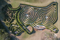 Bago Maze and Wine