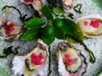 Gerringong Takeaway and Gerringong Restaurant Darwin Restaurant Darwin
