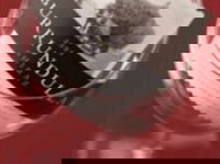 Burrundulla Vineyards