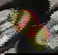 Crowded House - Restaurant Darwin