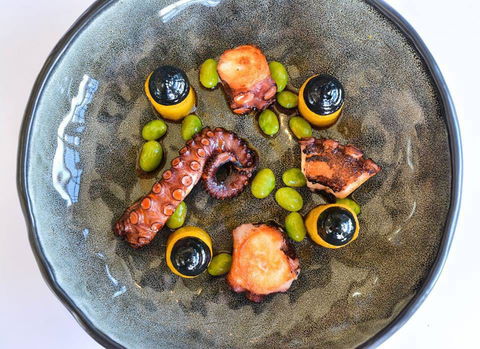 Sault - Restaurant Darwin 0