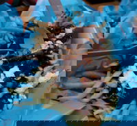 Howitt Street Bakehouse Wendouree