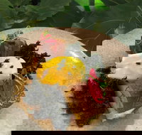 Nic and Kolo - Restaurant Darwin