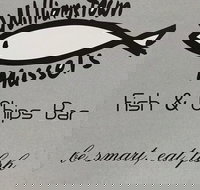 Williamstown Mussels - Restaurant Darwin