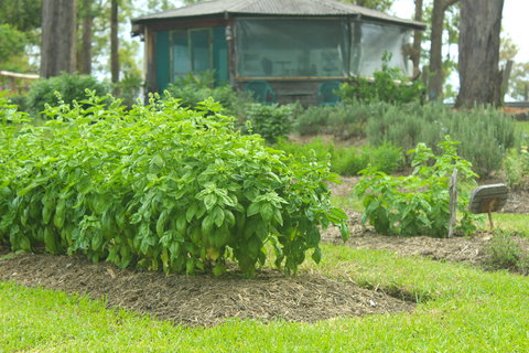 Hillview Herb Farm - Restaurant Darwin 2