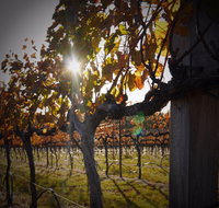 Pyramids Road Wines