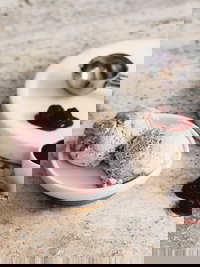 Gelatissimo - Artarmon