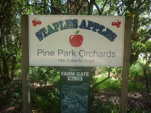 Staples Apples - Restaurant Darwin 2