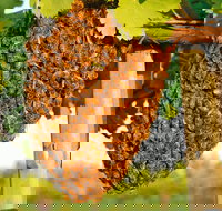 Whistling Kite Biodynamic Wines - Restaurant Darwin