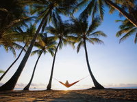 Barbados Port Douglas