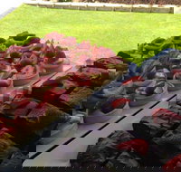 That Food Truck - Restaurant Darwin