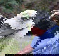 Providence Vineyards - Restaurant Darwin