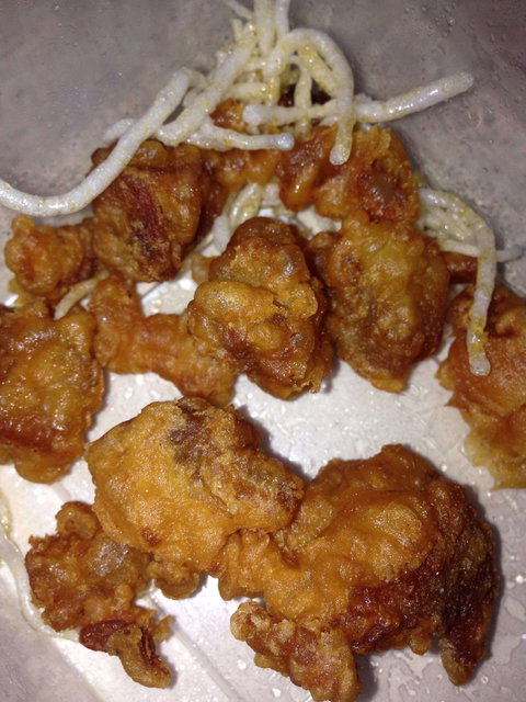 Tasty BBQ Chinese Cafe - Restaurant Darwin 0