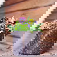 Greenhills Takeaway and Greenhills Restaurant Darwin Restaurant Darwin