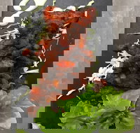 Royal India Restobar - Restaurant Darwin