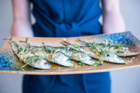 SARDINE eatery  bar
