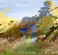 WayWood Wines - Restaurant Darwin