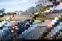 Balnaves of Coonawarra