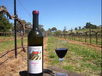 Lockwood Vineyard